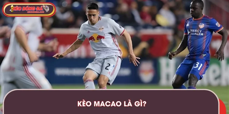 keo-macao-la-gi