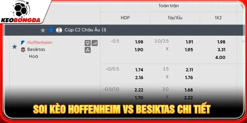 Soi kèo Hoffenheim vs Besiktas chi tiết
